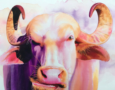 Renny Spencer, pastel colored cow art with attitude