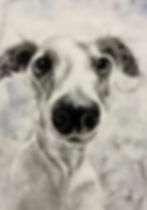 Follow Your Nose, by Annalisa Wallace, is a charcoal drawing of a shocked looking whippet in forced perspective.