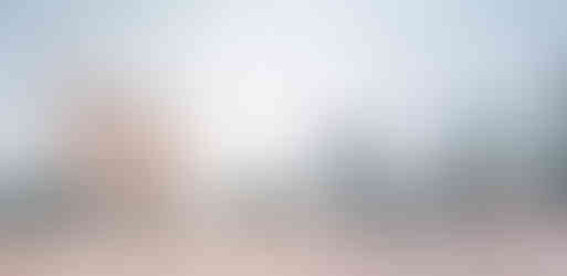 Mandie Knoesen, giraffe painting