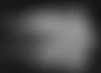 Tim Walker, swan drawing