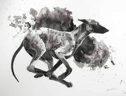 F 53, by Anna Kawalec, abstract ink artwork of a dog running
