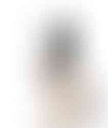 Paul Strohbehn, Stella, art of a speckled great dane