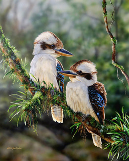 Natalie Jane  Parker, Rainforest Glow, realistic art of two birds