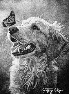 Britney Gibson, Butterfly Kisses, drawing of a labrador dog and butterfly
