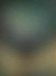 Iwona Barylska, Black Rooster painting