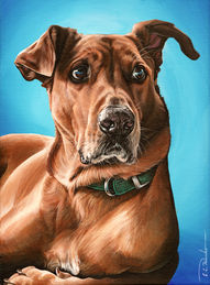 E. C. Kanko, dog portrait