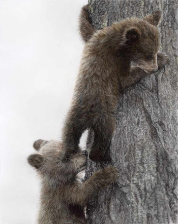 With Me, by Crystal Clarke, a pastel drawing of bear cubs climbing a tree