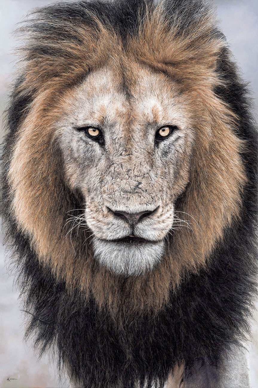 Hyper realistic lion painting by Holly Kavonic