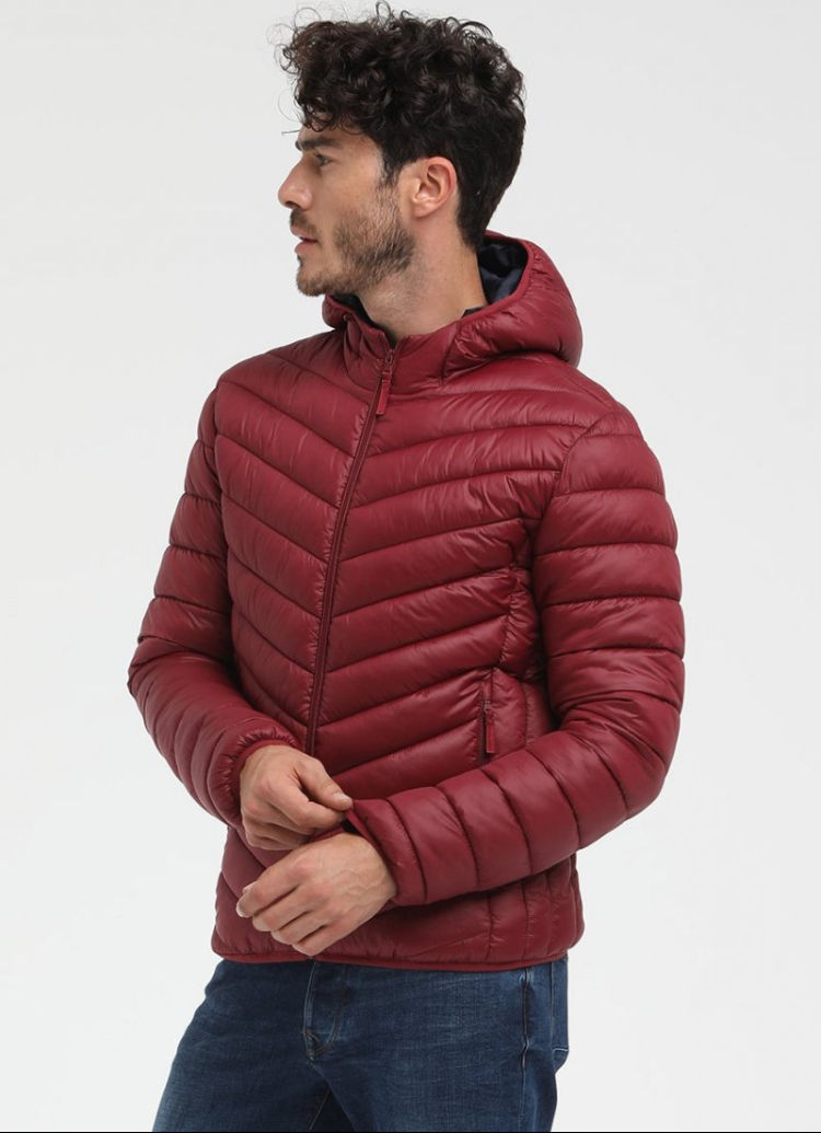 الصورة المصغرة: Jackets zip lf