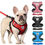 Thumbnail: Harness and lead (small)