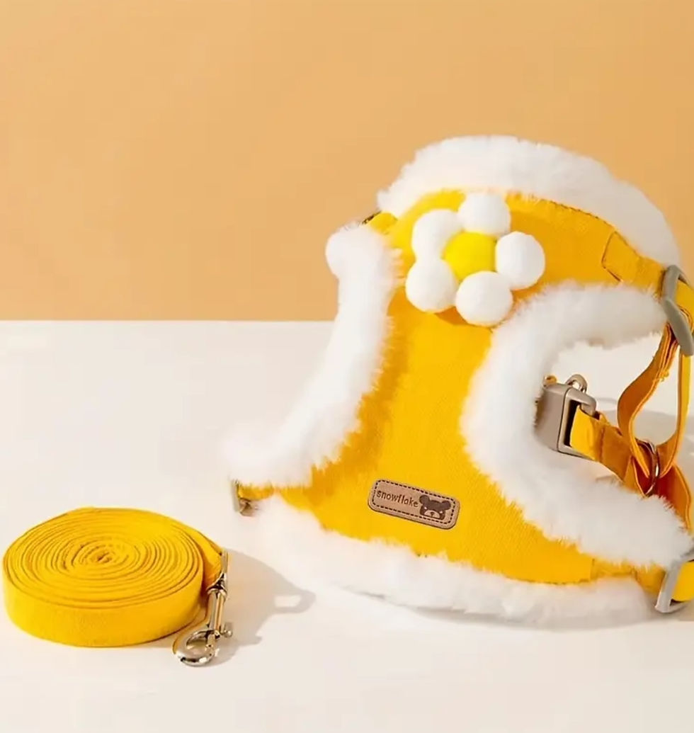 Thumbnail: Yellow plush harness and lead medium