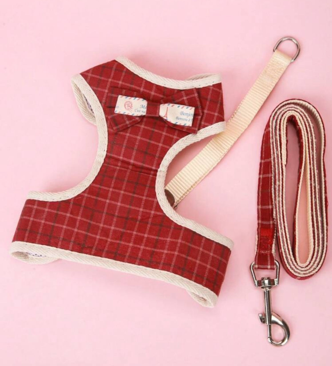 Harness and lead (small)