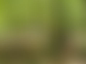 Randonnée pastorale pour les CE2