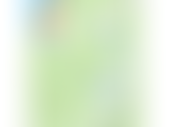 Volkswagen Satellite Service