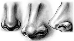 An Olfactory Diary (Inspired by "Perfume")
