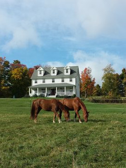 Farmhouses.jpg