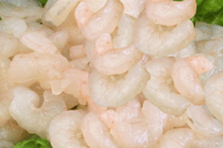 FROZEN PUD SHRIMP