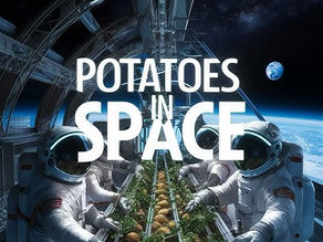 🚀 The Space Potato: How Our Favorite Comfort Food Reached for the Stars 🥔✨