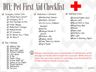 DOG Plan for Disaster and Evacuation