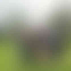 PaygOps with ForAfrika