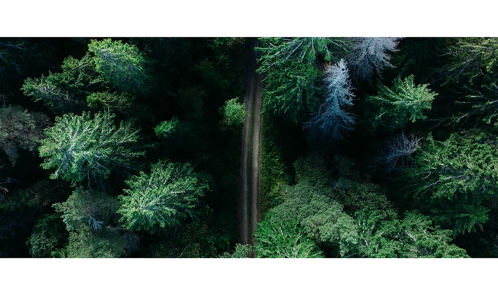 Untitled design (1).png