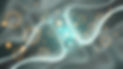 Human Nervous System.jpg