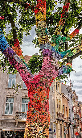 psychothérapie, thérapie, dépression, anxiété, toc, skype, aide, mazamet