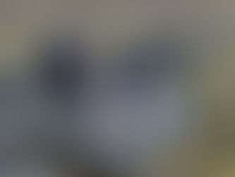 Getting Started with Long-Range Shooting in .308 Winchester: Which Rifles to Choose?