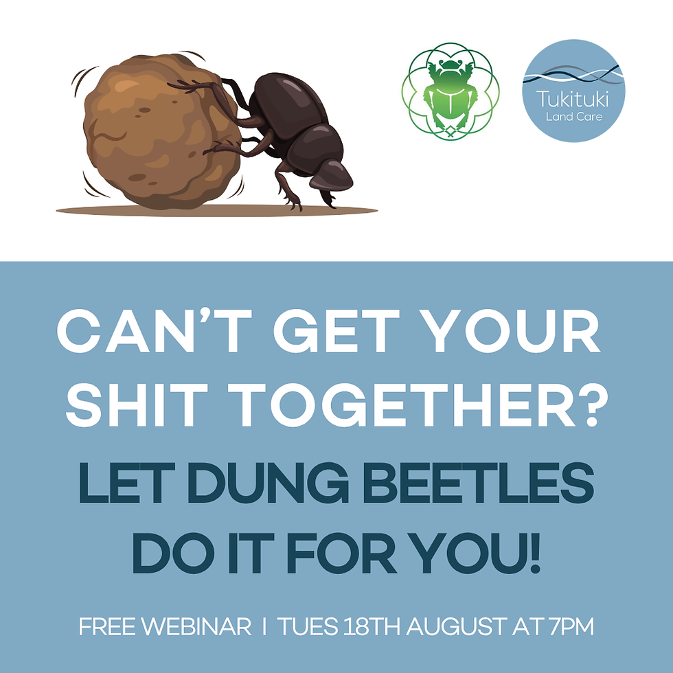 Dung Beetle Webinar with Dr Shaun Forgie