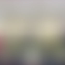 UNIVC CELEBRA APROVAÇÃO DE EGRESSO NA MAGISTRATURA