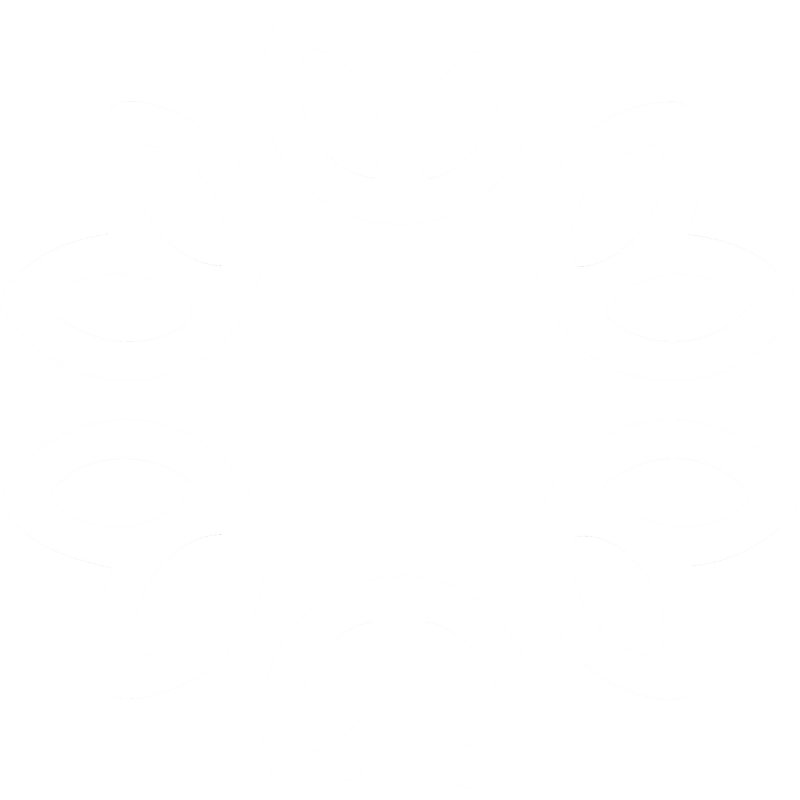 logo rp branco 2.png