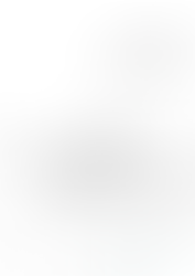 376 vuotta ketteriä kokemuksia