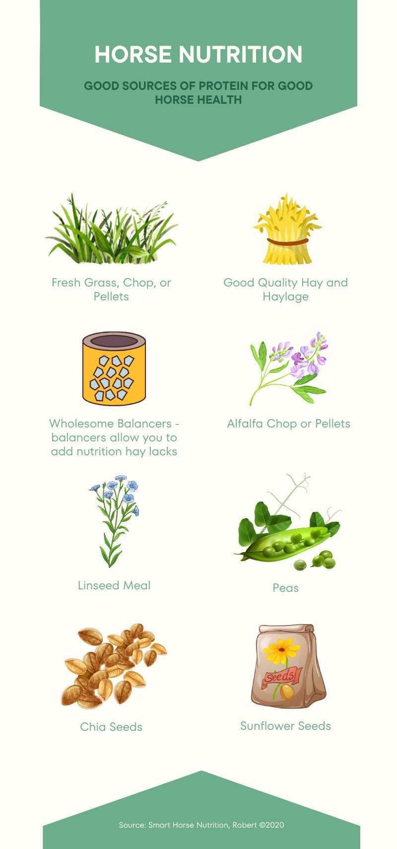 Infographic about good protein sources