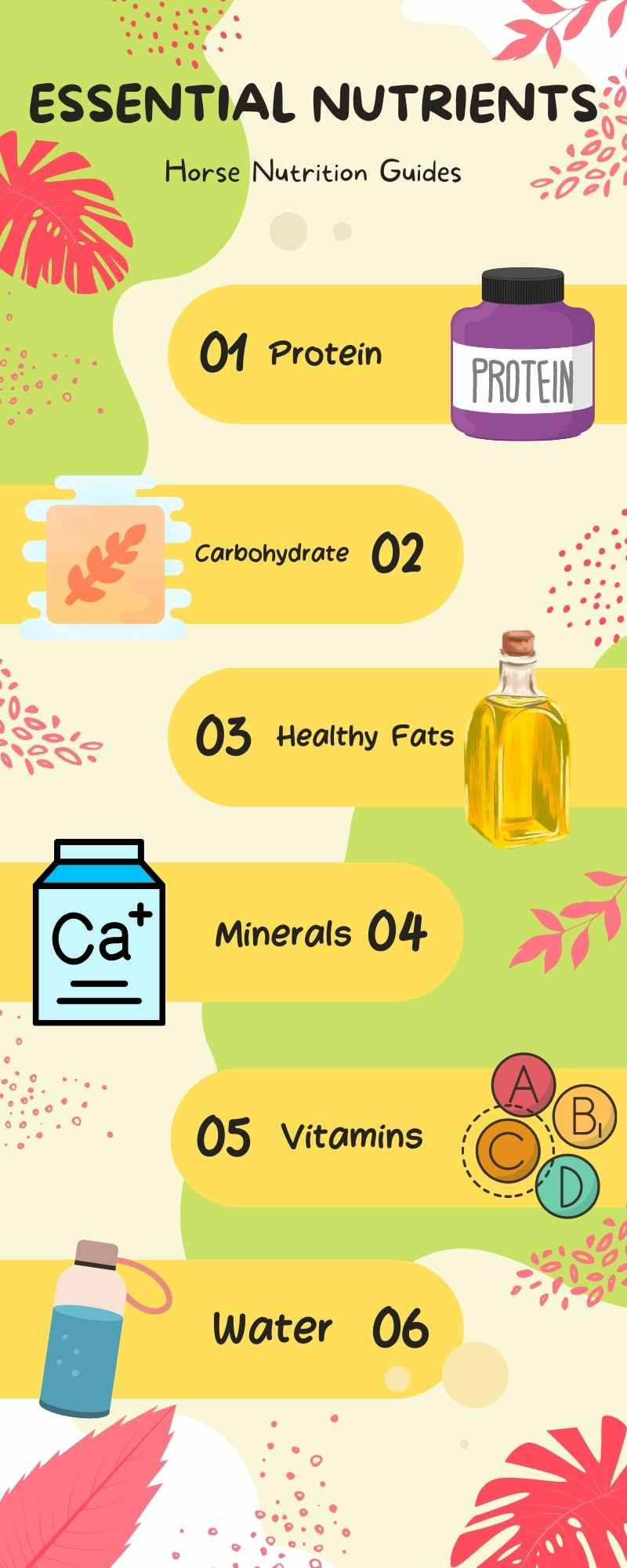 Essential Nutrients Infographic