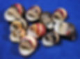 Apertures of several red nerite seashells.