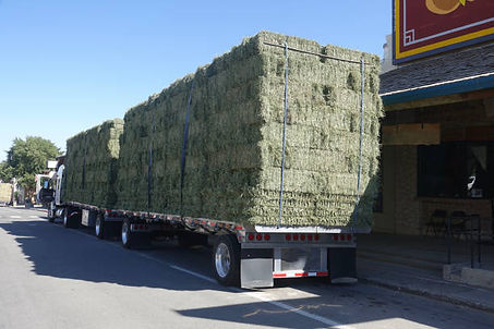 Semi load 8 stacks.jpg