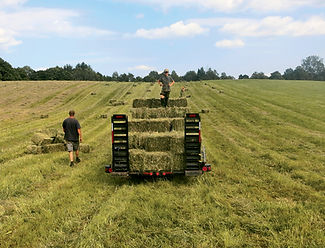 Trailer hay field pickup.jpg