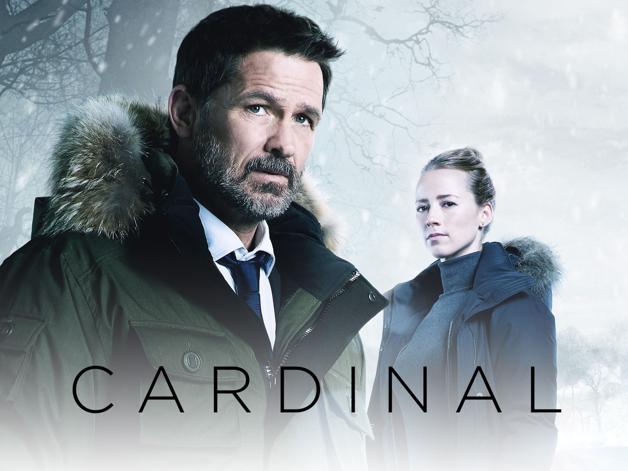 Blu Ray Cardinal Season 1
