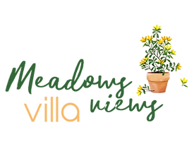 meadows views logo rect trans.png