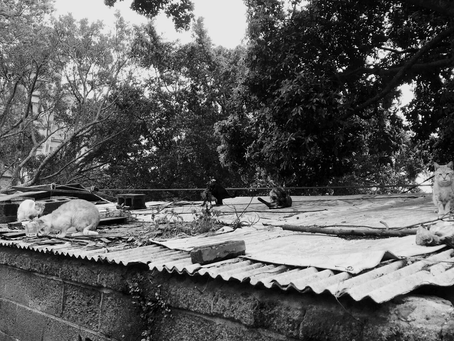 給感到自卑的你