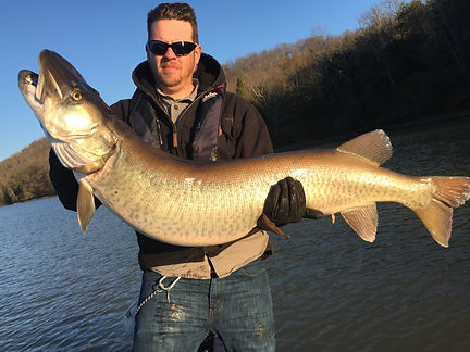 Tennessee State Record Musky
