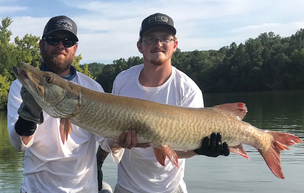 Melton Hill Muskie Fishing Report 2019