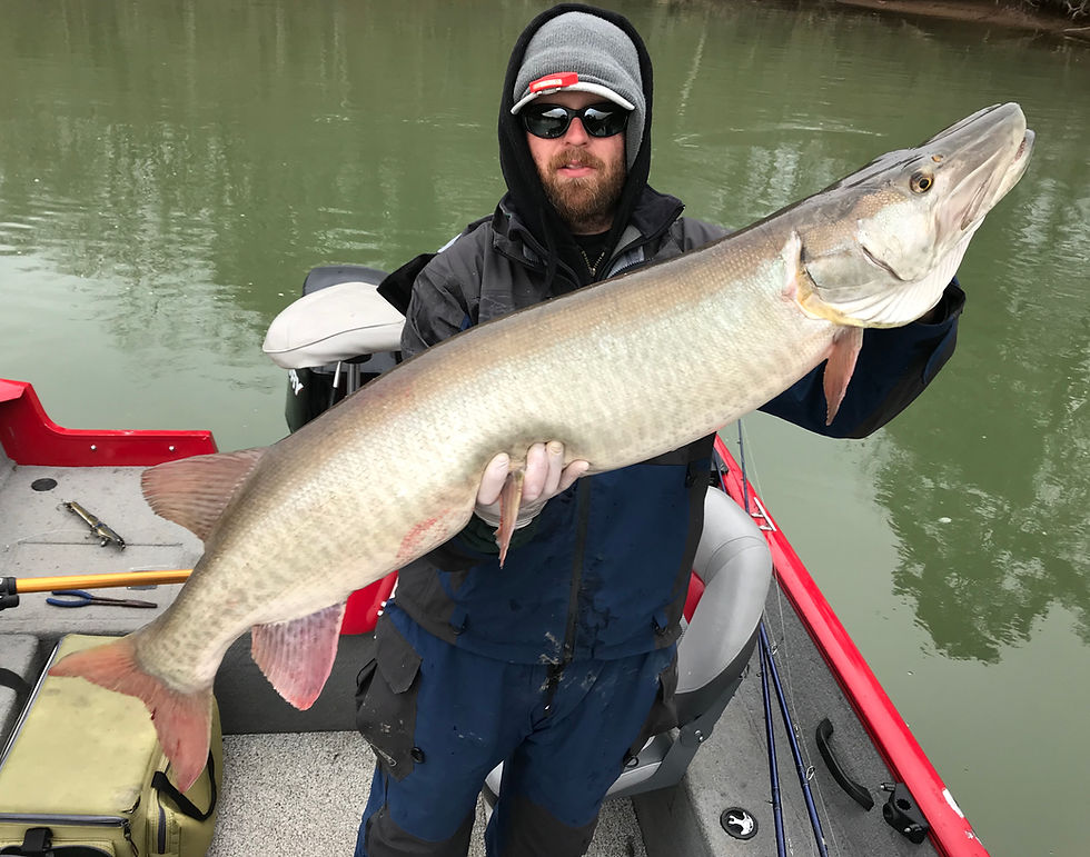 Muskie Fishing Tennessee
