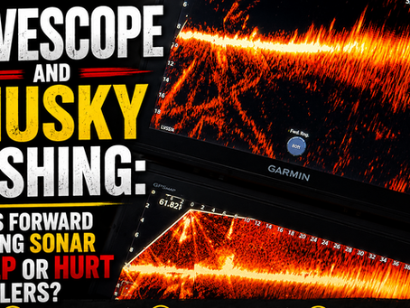 LiveScope and Musky Fishing: Does Forward Facing Sonar Help or Hurt Anglers?