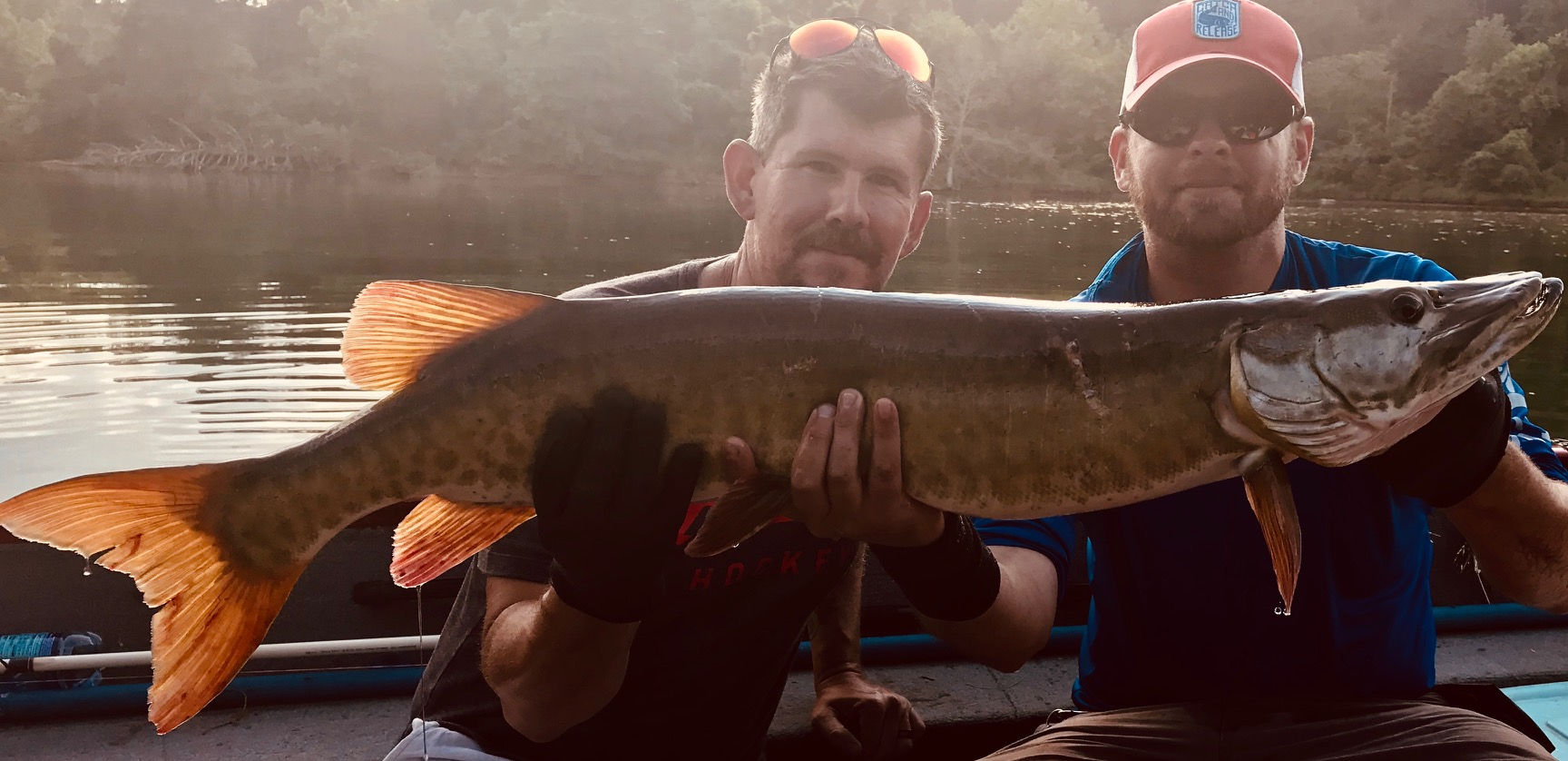 Melton Hill Muskie Fishing Report 2019