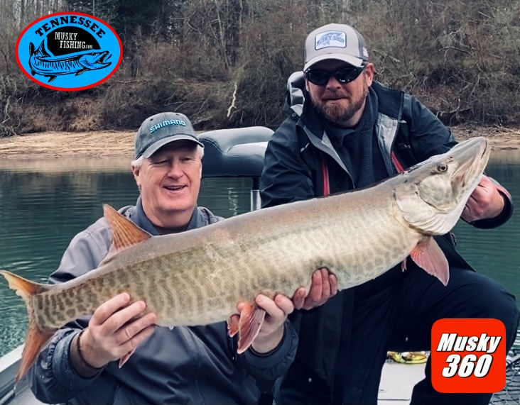 Melton Hill Musky