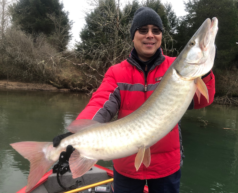 Tennessee Muskie Fishing Guide Steven Paul