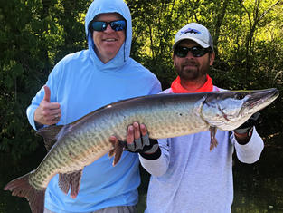 Southern Musky Guide