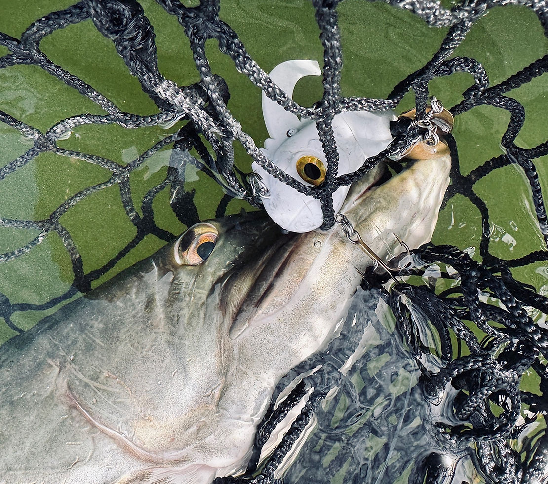 Livingston Lures Critter