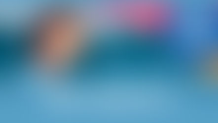 The many ways that best selling author Traci Andrighetti has used her Italian.